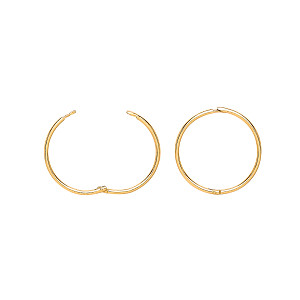 9ct Gold Hinged Hoop Earrings