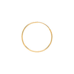 9ct Gold  Hoop Earrings