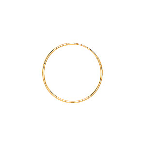 9ct Gold  Hoop Earrings