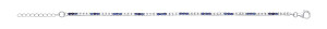 Silver CZ & Sapphire Claw Set Tennis Bracelet
