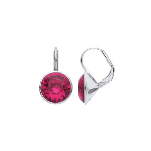 Silver Ruby Fancy Earrings